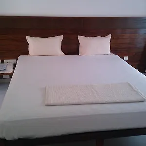 Lilypad 2* Varkala